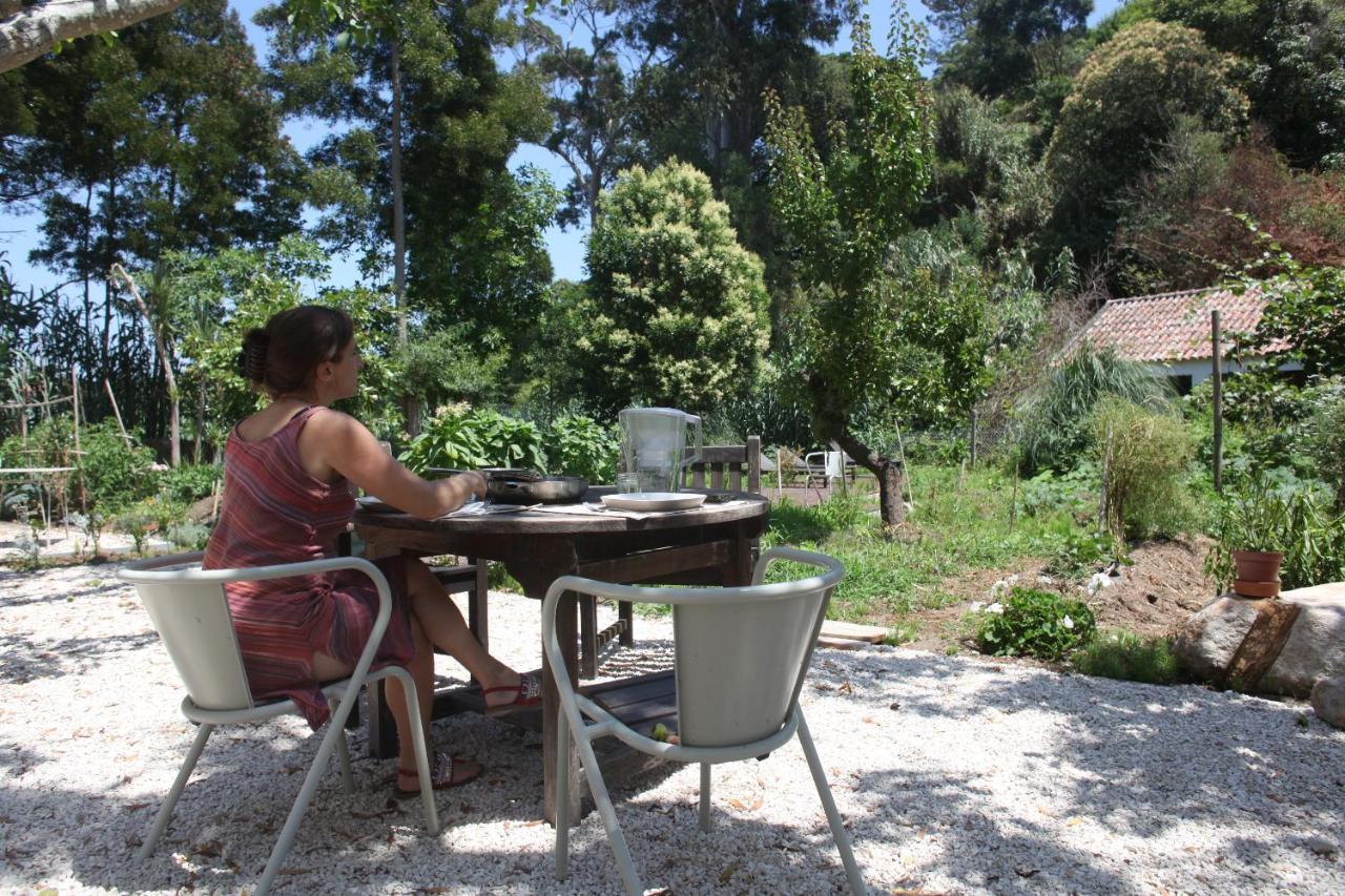 Ribeira Dos Marinheiros Amarelo Appartement Sintra Buitenkant foto
