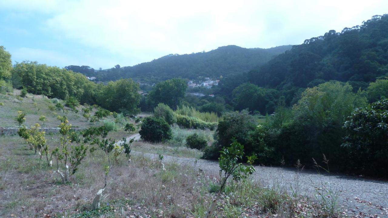 Ribeira Dos Marinheiros Amarelo Appartement Sintra Buitenkant foto