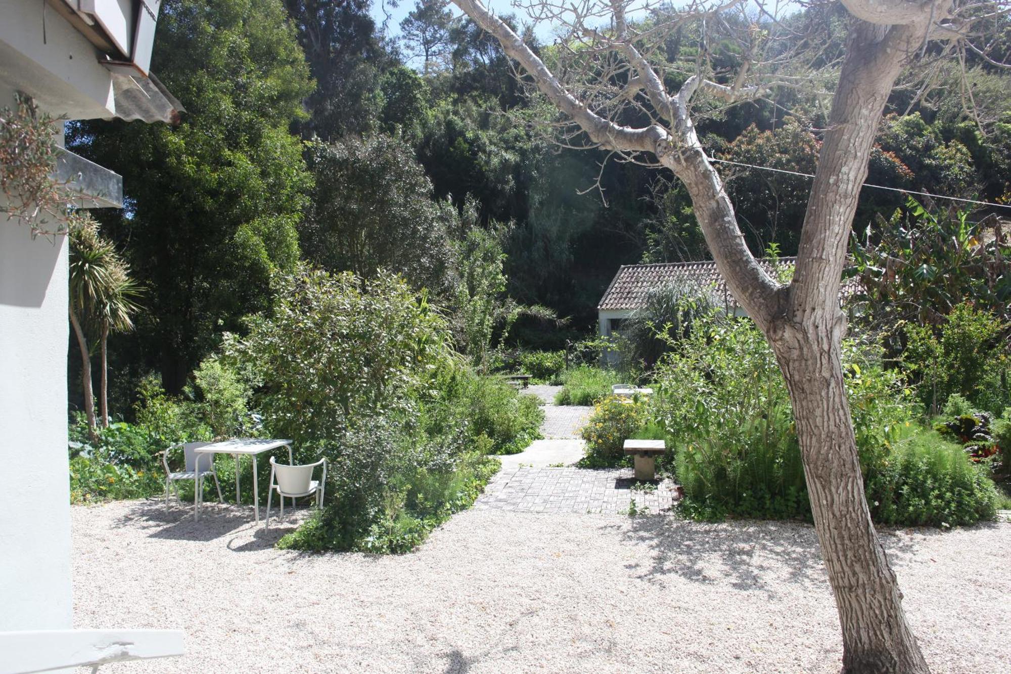 Ribeira Dos Marinheiros Amarelo Appartement Sintra Buitenkant foto